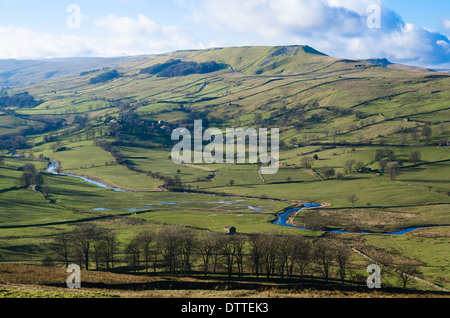 Blick auf Raydale in den Yorkshire Dales und den Fluss Bain Stockfoto