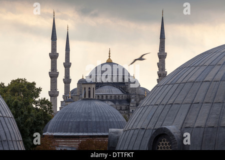 Kuppeln und Türme der blaue Moschee, Istanbul, Türkei Stockfoto