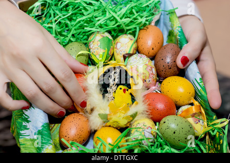 Frau mit einem Korb mit Ostern bemalten Eiern und gelbes Küken in den Händen. Stockfoto