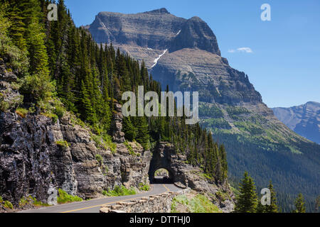 Gletscherpark Stockfoto