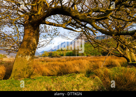 Dolbadarn Burg und Llanberis Pass Snowdonia Gwynedd Wales UK Stockfoto