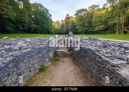 Parc le Breos Grabkammer Gower Halbinsel Wales UK Stockfoto