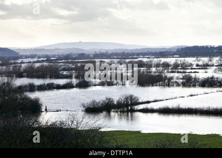 Der Fluss Severn Überschwemmungen Coombe Hügel zwischen Gloucester und Tewkesbury, Gloucestershire UK - Februar 2014 Stockfoto