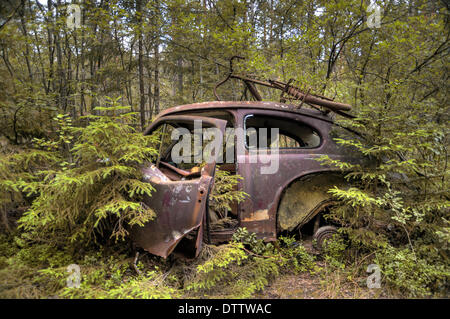 Auto Dump Kirkö Mosse in Ryd, Schweden Stockfoto