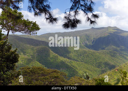 Park-Black River Gorge. Mauritius Stockfoto