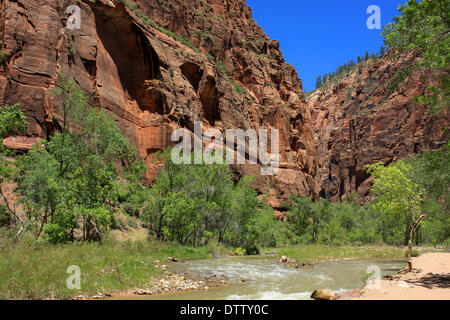 Wasser ist Leben in Bewegung Stockfoto