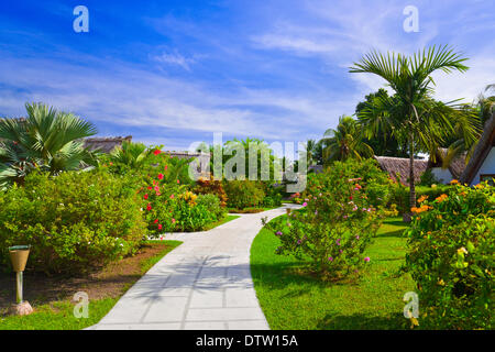 Weg und Bungalows im tropischen park Stockfoto