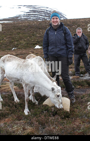 Cairngorm, UK, 24. Februar 2014, Fütterung der Rentiere bis auf die Cairngorm Berg Scotlan Credit: Keith Larby/Alamy Live News Stockfoto