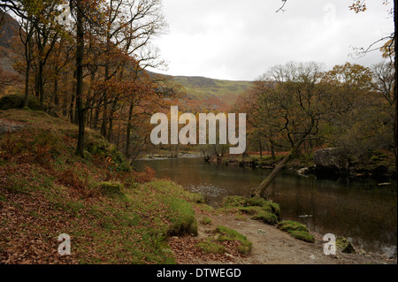 Fluß Derwent in hohen Hows in Borrowdale in den Lake District National Park Holz Stockfoto