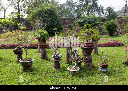 Garten auf dem Gelände der kaiserlichen Stadt Hue Stockfoto