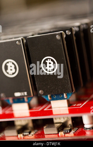 Bitcoin Mining USB-Geräte an einem großen USB-Hub. Stockfoto