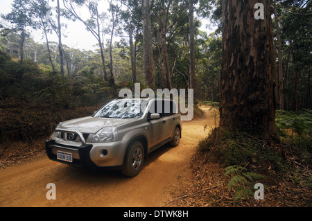 4WD fahren auf Strecke durch Wald im Westen Cape Howe National Park, Western Australia. Keine PR Stockfoto