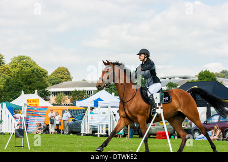 Junge Frau auf dem Pferd Reiten in Richtung Hürden in Staffordshire Lauch Land-Show-Event. Stockfoto