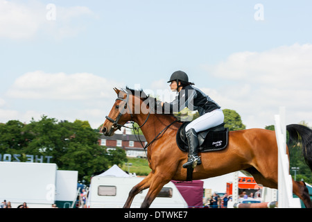 Junge Frau auf Pferd springen über Hürden bei Land-Show-Event. Staffordshire County Show Staffordshire England UK Stockfoto