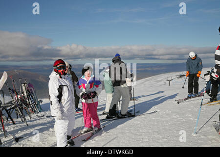 Cairngorm, UK, 24. Februar 2014, Skifahrer genießen Sie die Sonne am Cairngorm Berg in Scotlan Credit: Keith Larby/Alamy Live News Stockfoto