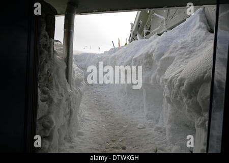 Cairngorm, UK, 24. Februar 2014, dicken Schnee am Ausgang der Standseilbahn auf den Cairngorm Berg in Scotlan Credit: Keith Larby/Alamy Live News Stockfoto