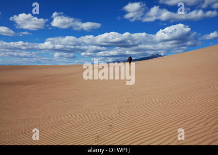 Wandern in der Wüste Stockfoto