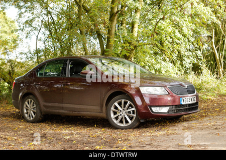 Dunkle rote Skoda Octavia Eleganz 2.0TDI Markierung III, geparkt im Wald, 24. Oktober 2013 - Nummernschild geändert. Stockfoto