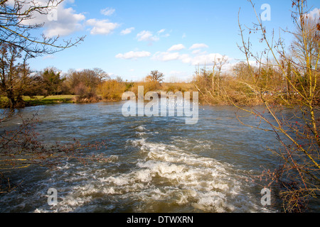 Wildwasser, verursacht durch ein Wehr am Fluss Stour in Dedham, Essex, England Stockfoto