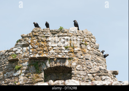 Woebley Burg, Gower Halbinsel, Wales. Stockfoto