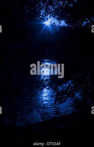Versteckt in der Nähe eines Sees in der Nacht Stockfoto