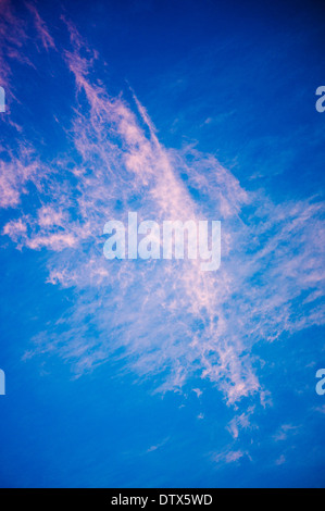 Rosa Wolken gegen Sonnenuntergang Himmelblau in Colorado, USA Stockfoto