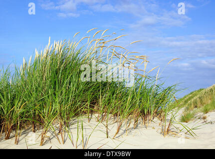 Am Strand Stockfoto