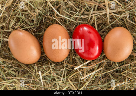 Rotes Ei auf Stroh mit nur diejenigen Stockfoto