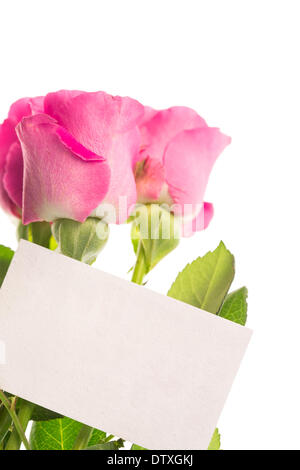 Leere Karte mit rosa Rosen Stockfoto