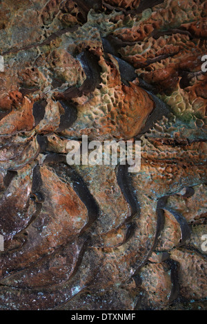 Waben in Sandstein Felsen Erosion Red River Gorge Kentucky Verwitterung Stockfoto