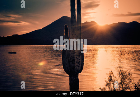 See der Wüste in Arizona bei Sonnenuntergang Stockfoto