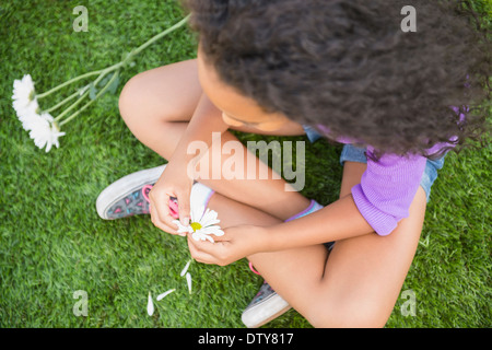 Gemischte Rassen Mädchen Blütenblätter aus Gänseblümchen pflücken Stockfoto
