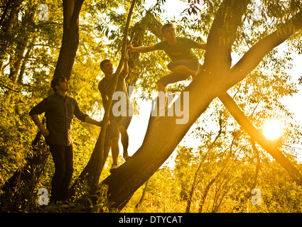 Kaukasische Männer Kletterbaum im Wald Stockfoto