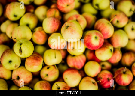 Nahaufnahme von Haufen Äpfel Stockfoto