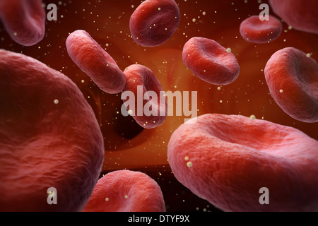 Glukose im Blut Stockfoto