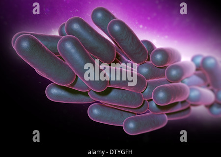 Legionella Pneumophila Bakterien Stockfoto