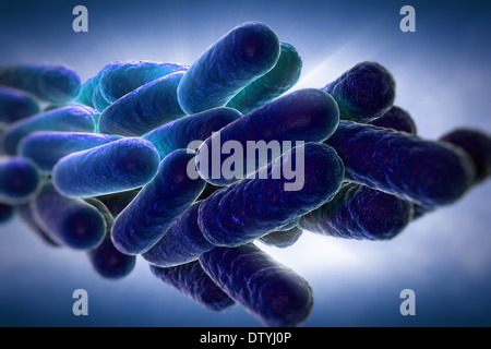 Legionella Pneumophila Bakterien Stockfoto