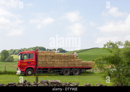 Heuballen auf Wagen Stockfoto