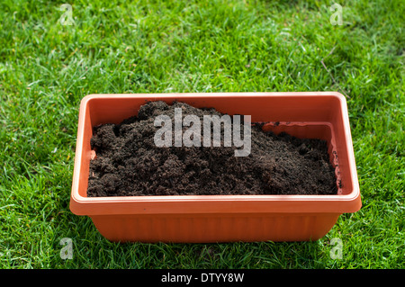 Topf mit Kompost auf dem grünen Rasen Stockfoto