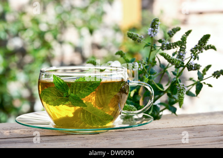 Tasse Tee mit Pfefferminze im Garten Stockfoto