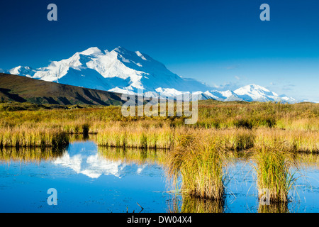 Osten Angesichts der Denali (ehemals Mt. McKinley) gesehen von einem Tundra Teich ca. 2 Meilen von der Straße zwischen Eielson und Frage mich See. Denali National Park AK Stockfoto