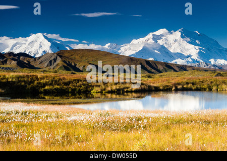 Osten Angesichts der Denali (ehemals Mt. McKinley) teilweise in einem Tundra Teich ca. 2 Meilen vom Park Road zwischen Eielson und Wunder Sees spiegelte. Fallen. Stockfoto