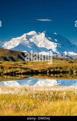 Osten Angesichts der Denali (ehemals Mt. McKinley) teilweise in einem Tundra Teich ca. 2 Meilen vom Park Road zwischen Eielson und Wunder Sees spiegelte. Fallen. Stockfoto