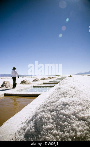 Great Salt Lake, Quebrada de Humahuaca, Jujuy, Argentinien Stockfoto