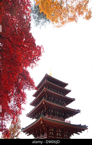Fünfgeschossige Pagode und Autumn leaves Stockfoto
