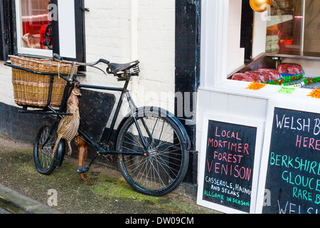 Klammer der Fasan auf Fahrrad in Ludlow, Shropshire Stockfoto