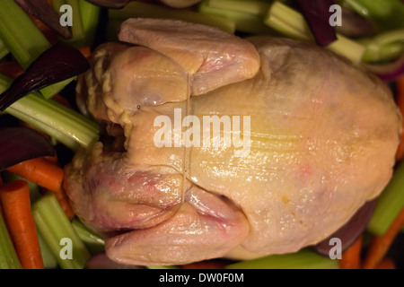 Ganzes Huhn zum Braten Stockfoto