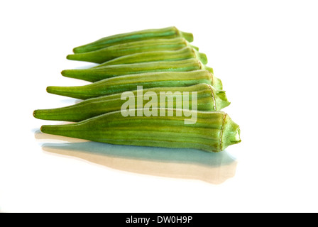 Frisches rohes Okraschoten isoliert auf einem weißen Hintergrund. Im Studio, horizontales Bild geschossen. Stockfoto