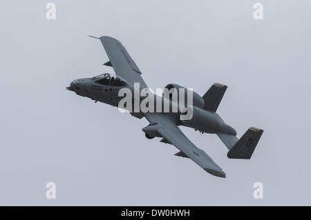 17. März 2007 fliegt - Tucson, Arizona, Vereinigte Staaten von Amerika - eine a-10 Flugzeug über die Landebahn an Davis-Monthan AFB in Tucson, Arizona in diesem 2007 Datei Foto. Davis-Monthan ist Heimat der 355th Flügel, die die a-10 unterstützt. Das Pentagon kündigte gestern an der a-10 als eine Maßnahme zur Kostenreduzierung zur Vorbereitung der späteren Lieferung von der f-35-Mehrzweck-Kämpfer in den Ruhestand. Die a-10 diente seit spät im Vietnam-Krieg durch zeitgenössische Kämpfe in Afghanistan und im Irak. Das Flugzeug wird in der Regel von Piloten und Serviceteams für seine Überlebensfähigkeit und Leistung gelobt. (Kredit Im Stockfoto