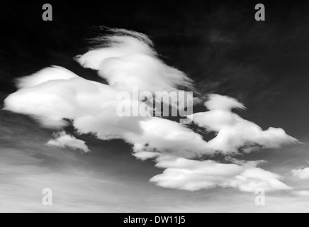 Schwarzen & weißen Blick auf weiße Wolkenfetzen gegen Colorado wolkenlos Stockfoto